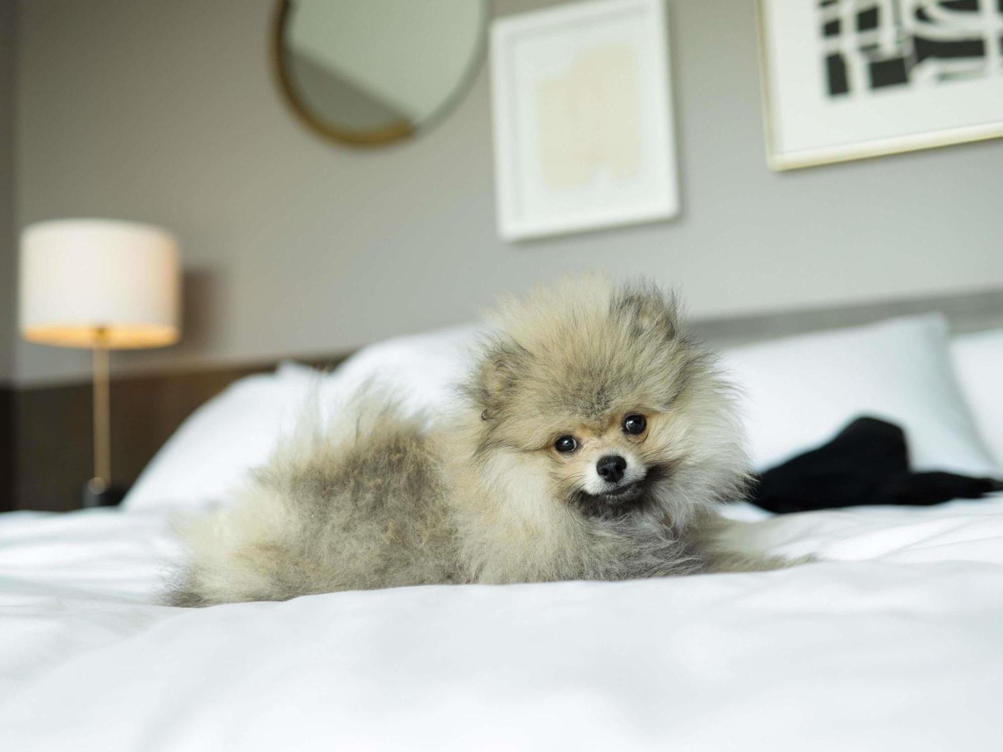 Fairmont Century Plaza ลอสแอนเจลิส ภายนอก รูปภาพ